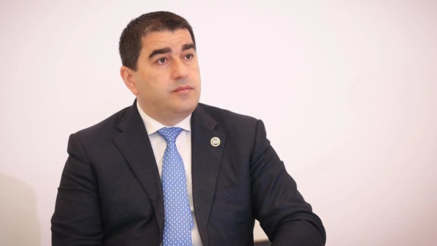 Şalva Papuaşvili rəsmi səfərlə Cenevrəyə gedib