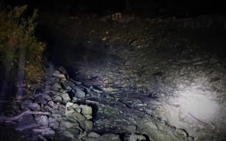 Güclü külək və yağış Gürcüstanda fəsadlar törədib