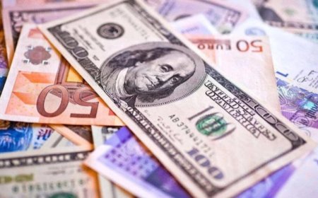 5 avgust xarici valyutaların məzənnələri