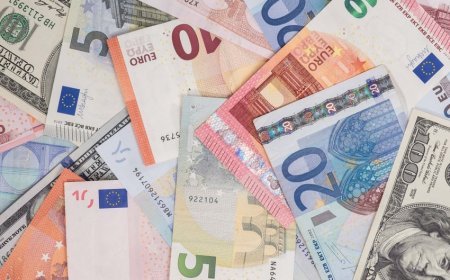 13 avgust xarici valyutaların məzənnələri