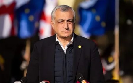 Antikorrupsiya Bürosu Mamuka Xazaradzenin əmlak bəyannaməsini araşdırır