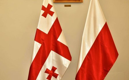 Polşa Gürcüstan vətəndaşları üçün vizasız rejimi məhdudlaşdıra bilər