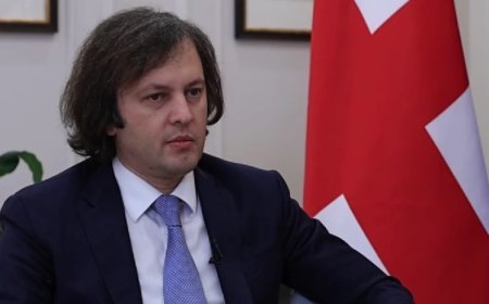 “Gürcü Arzusu” Tbilisidə hökumət şəhərinin tikintisini planlaşdırır