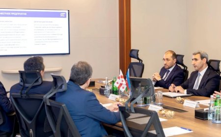 ADY və Gürcüstan Dəmir Yolları əməkdaşlığı genişləndirir