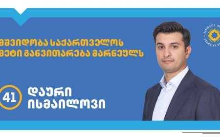 "Gürcü arzusu” Marneuli merliyinə Daur İsmayılovun namizədliyini irəli sürüb