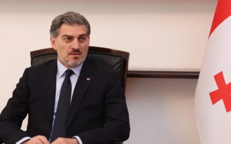 Gürcüstan Prezidenti sabah Türkiyəyə səfər edəcək