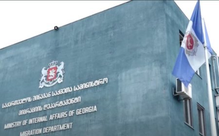 Gürcüstandan 34 xarici ölkə vətəndaşı deportasiya olundu