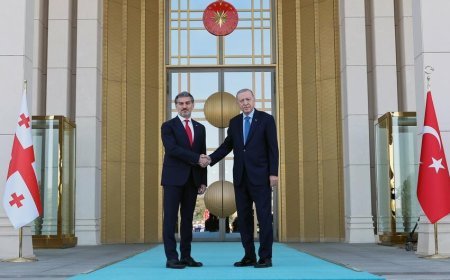 Ərdoğan Kavelaşvili ilə hərbi sahədə əməkdaşlığı müzakirə edib