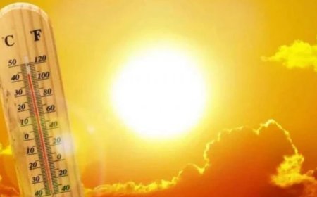 Gürcüstanda səhralaşma təhlükəsi varmı ?