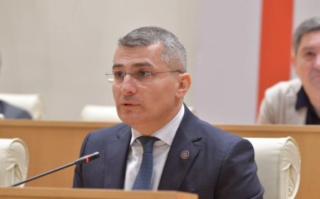 “Ola bilər doğrudan da nəsə Gürcüstandan keçib, ya da keçməyib”