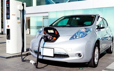 Gürcüstana elektrikli avtomobillərin idxalı artıb