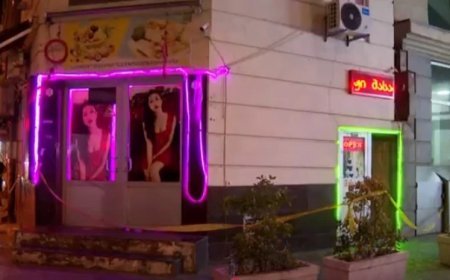 Tbilisidə və Sameqreloda fahişəliyə şərait yaratmaq ittihamı ilə 12 nəfər saxlanıldı - VİDEO