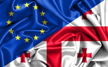 Aİ Gürcüstan hökumətinə çağırış etdi