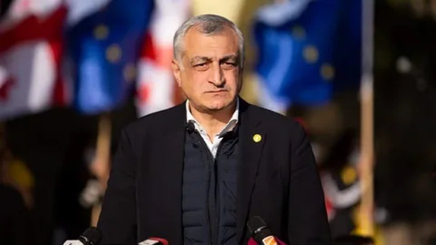 Antikorrupsiya Bürosu Mamuka Xazaradzenin əmlak bəyannaməsini araşdırır