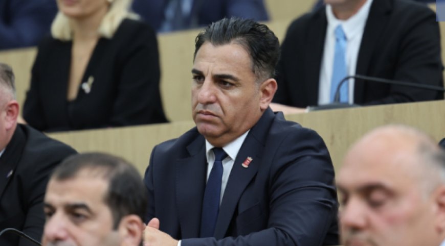 Dmanisi meri və “Gürcü Arzusu”nun merliyə namizədi Koba Muradaşvilinin əmlakı