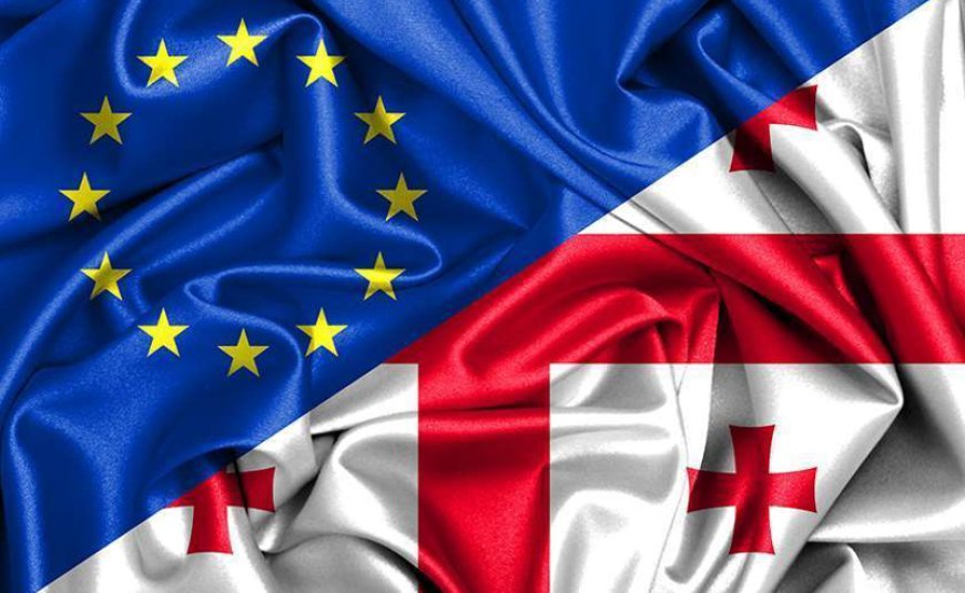 Aİ Gürcüstan hökumətinə çağırış etdi