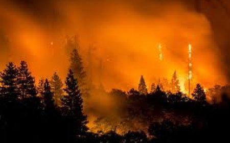 Gürcüstanda yanğınlar nəticəsində 2025-ci ilin ilk 6 ayında 32 nəfər həlak olub