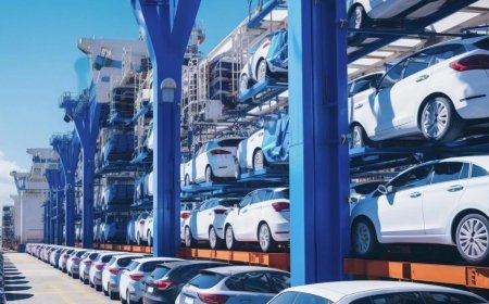 Tbilisi meriyası 7,4 milyon lari dəyərində 100 yeni avtomobil alır