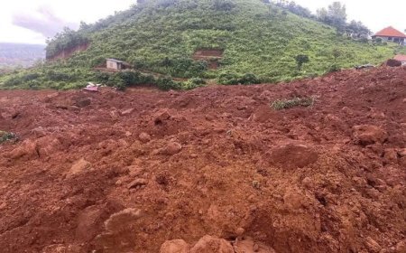 Sudanda torpaq sürüşməsi - 1000-ə yaxın ölən var