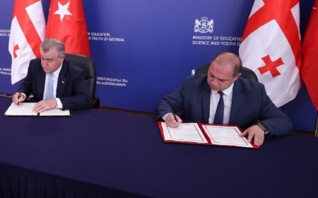 Gürcüstan və Türkiyə gənclər sahəsində əməkdaşlığı gücləndirir