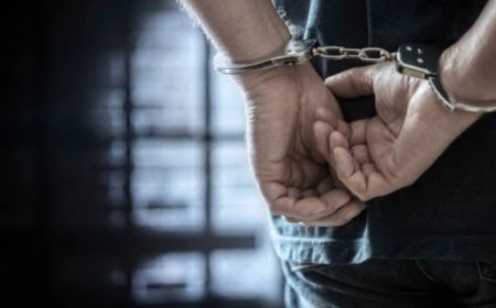 Polis xüsusilə külli miqdarda narkotik maddə müsadirə edib