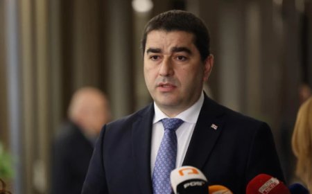 Almaniya səfirinin dəstəklədiyi qrup "Gürcü Arzusu"nun qərargahına hücum edib