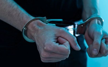 Gürcüstanda 30 kriminal avtoritet həbs edilib