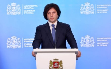 Tbilisi etirazçılarını xarici kəşfiyyat xidmətləri maliyyələşdirir