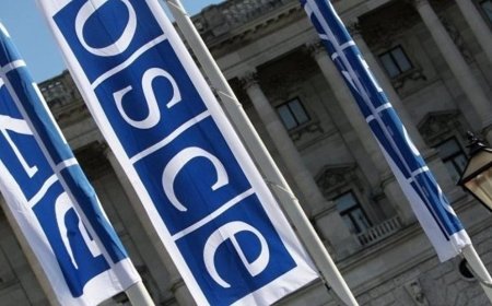 ATƏT Gürcüstana müşahidəçi göndərməyəcək