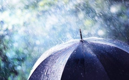 Gürcüstanda yağmurlu hava nə vaxtadək davam edəcək?