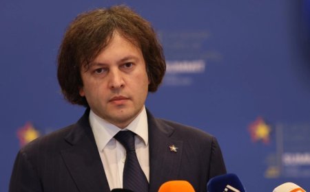 Kobaxidze Xabeişvilini “Gürcü arzusunun keçmiş üzvlərindən qara pul almaqda” ittiham edib