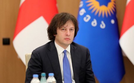 Gürcüstanda buna yol verilməyəcək