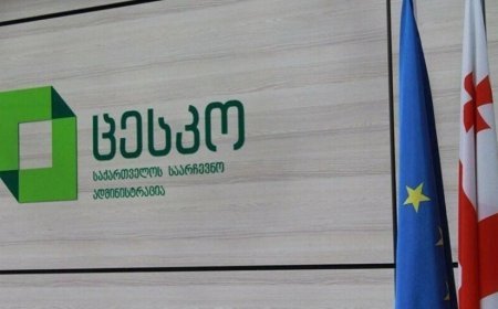 Gürcüstan MSK yerli seçkilərlə bağlı daha 4 müşahidə təşkilatını qeydə alıb
