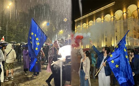 Tbilisidə "Vizasız rejimi qoruyaq" adlı aksiya keçirilir