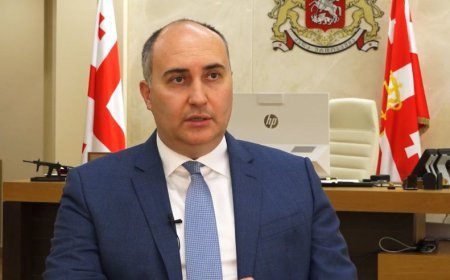 Gürcüstanın keçmiş müdafiə naziri barədə qərar verildi