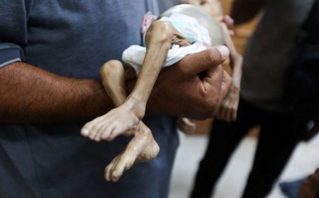 İsrail daha 2 fələstinlini aclıqla qətlə yetirdi