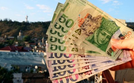 Gürcüstanda orta əmək haqqı - Statistika
