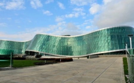 DİN Elene Xoştariyanın saxlanılması ilə bağlı bəyanat yaydı