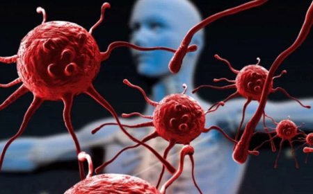 Hər il milyonlarla insanın öldüyü xəstəliklərin SİYAHISI