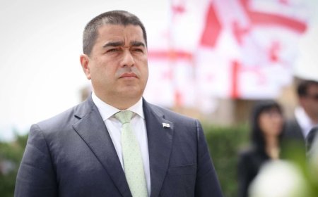 Gürcüstanı heç kim, o cümlədən də Aİ sıxışdıra bilməz