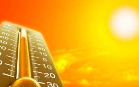 Bu il Avropada anomal istilər 24 mindən çox insanın ölümünə səbəb olub