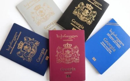 Aİ-nin 13 ölkəsi Gürcüstanın diplomatik pasportları üçün vizasız rejimi ləğv etdi