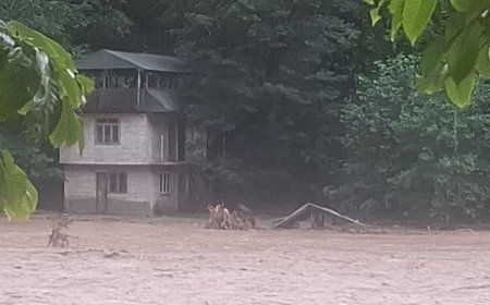 Batumidə güclü külək və yağış bir sıra problemlər yaradıb