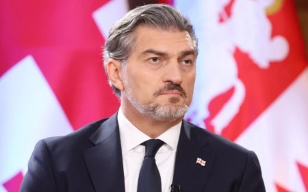 Mixeil Kavelaşvili ABŞ-a səfər edib