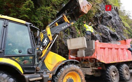Güclü yağış Acara bölgəsində təbii fəlakətlərə səbəb olub