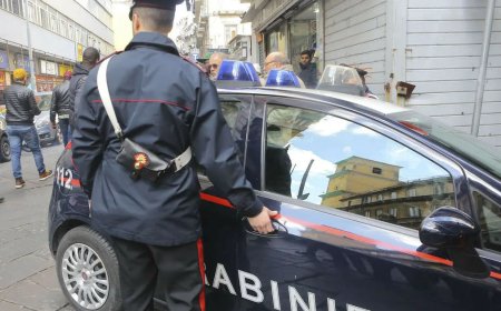 İtaliyada gürcü oğurluğa görə həbs olundu