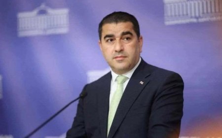 Xaricdən maliyyə dəstəyi ilə hakimiyyəti dəyişmək mümkün deyil