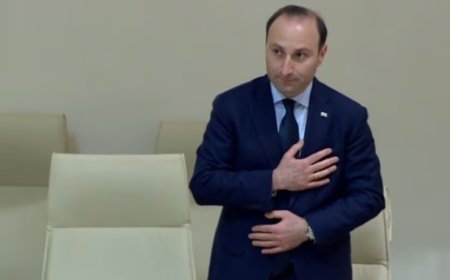 Keçmiş ədliyyə naziri Anri Oxanaşviliyə dövlət mühafizəsi təyin edilib