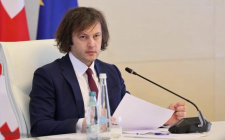 Gürcüstanda “Ukrayna Maydanı” hazırlanır