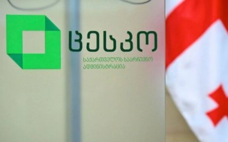 Gürcüstanda bələdiyyə seçkiləri üçün 12 partiya, Tbilisi merliyinə isə 9 namizəd qeydə alınıb